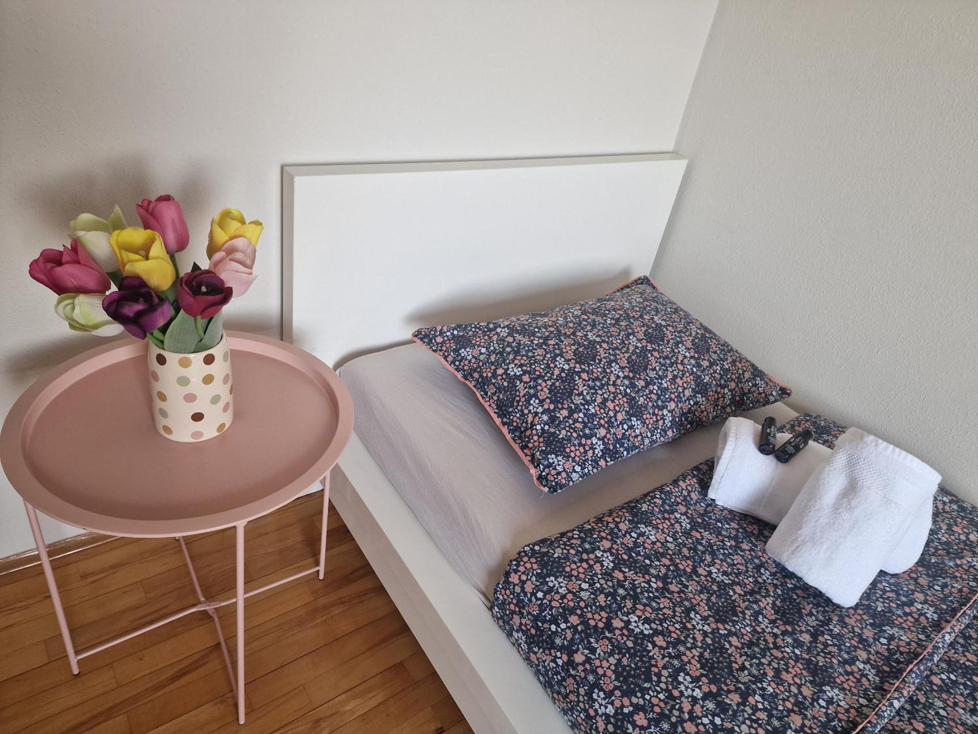 Apartman Loncar بوسيسيه المظهر الخارجي الصورة